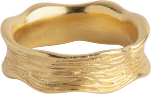 Ring, Ane