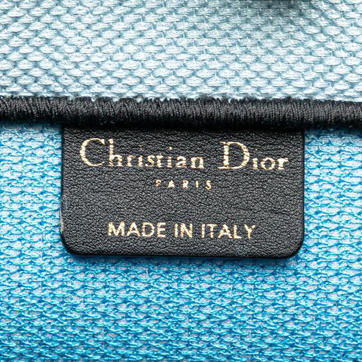 Dior Book Tote