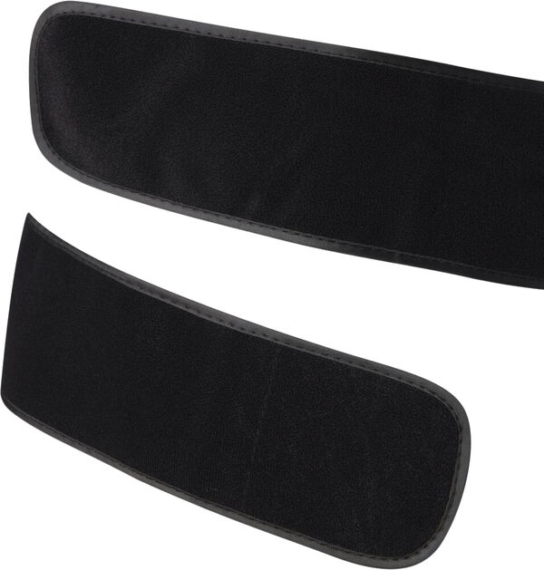 Fortress 3. 0 rygskjold