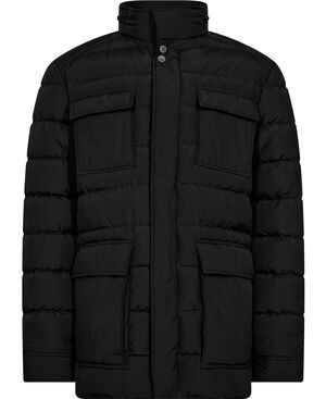 RAPHEL RDS