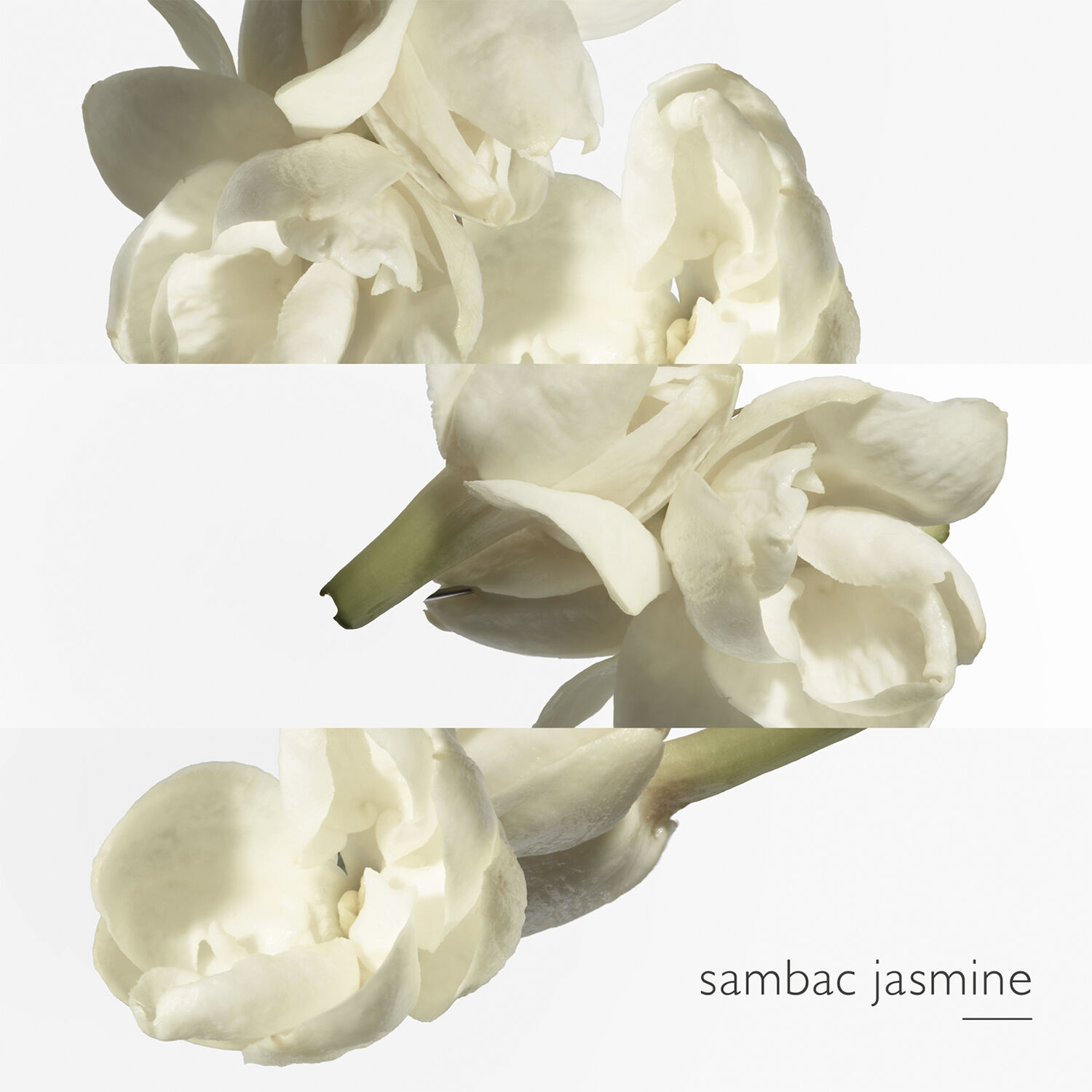 Le Jardin de Monsieur Li Eau de Toilette