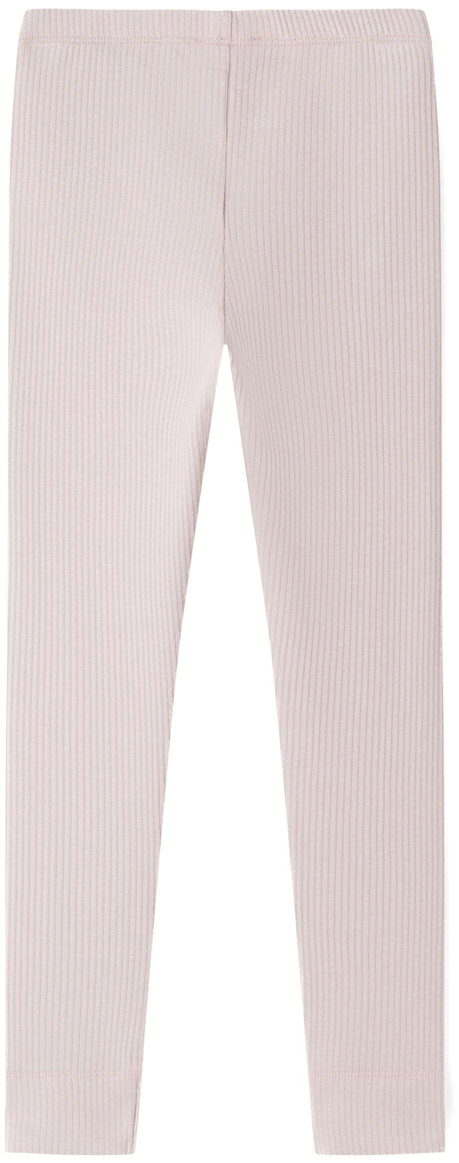 Leg