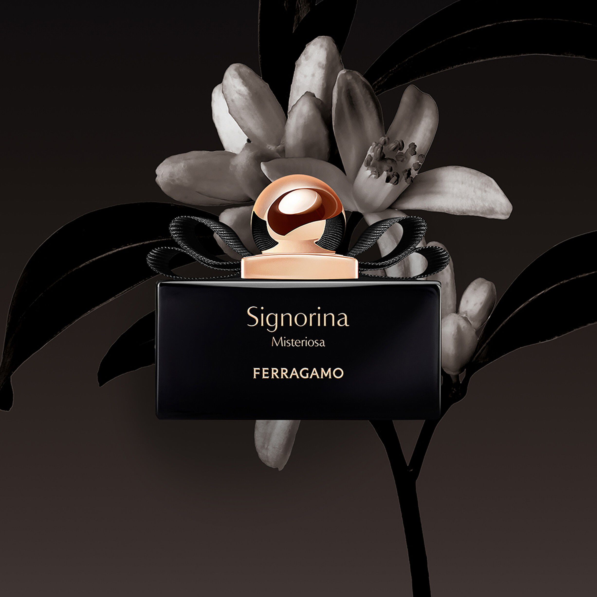 Signorina Misteriosa