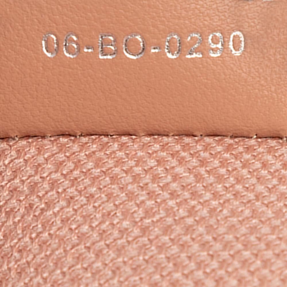 Dior Vanity Bag