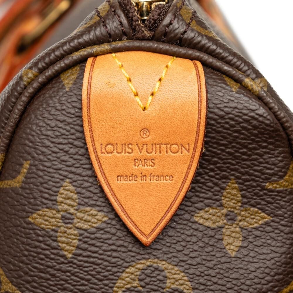 Louis Vuitton Flanerie