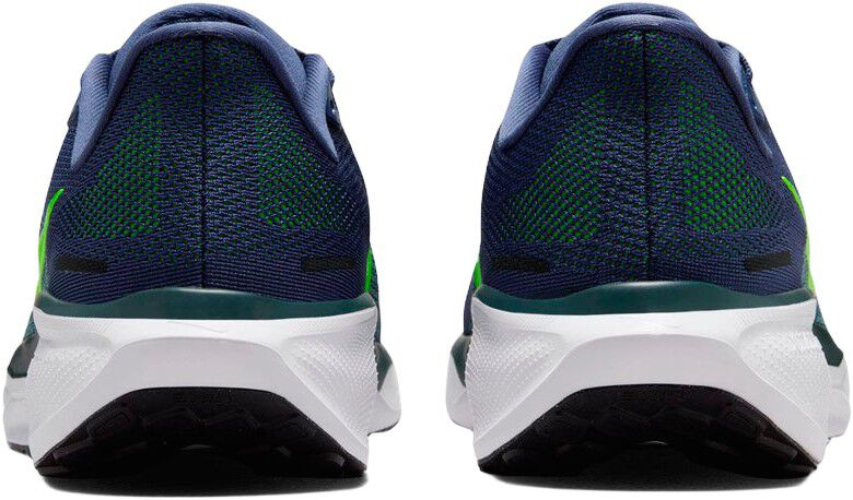 Pegasus 41 L&oslash;besko