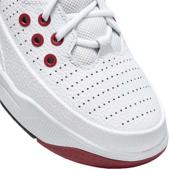 Jordan Max Aura 5 Sneakers