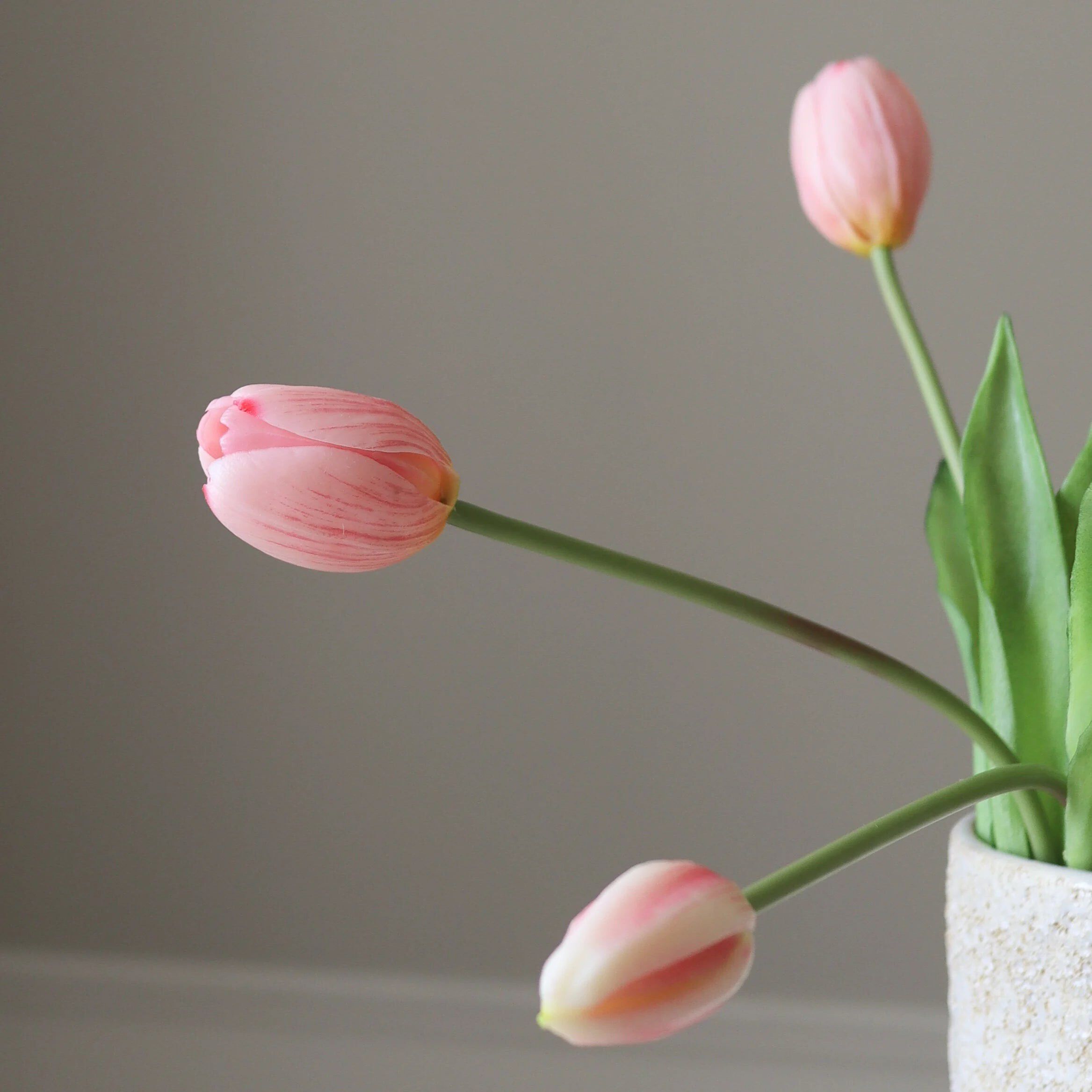 Tulip Bundle Light Pink