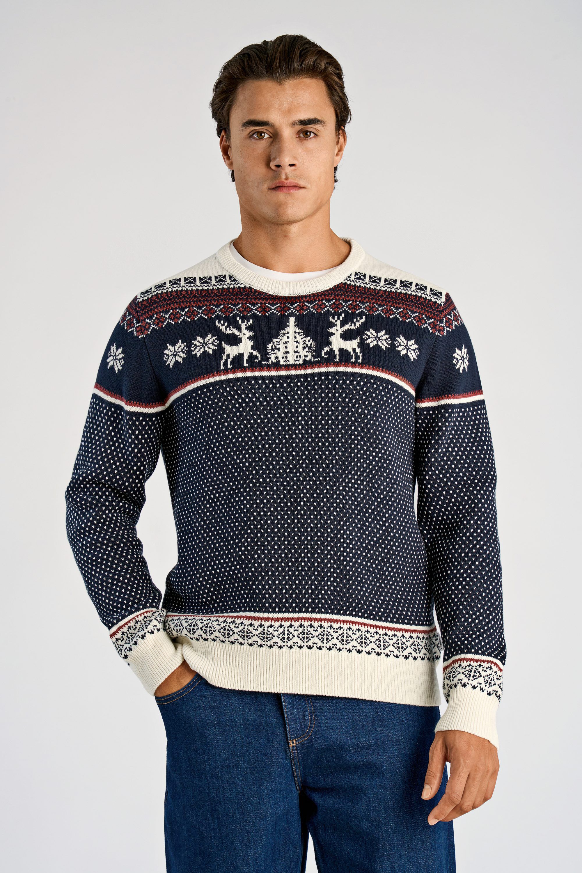 Holiday roll-neck knit