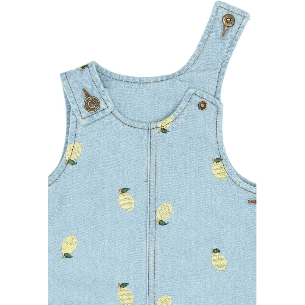 TNSTSaja S_L Denim Dress