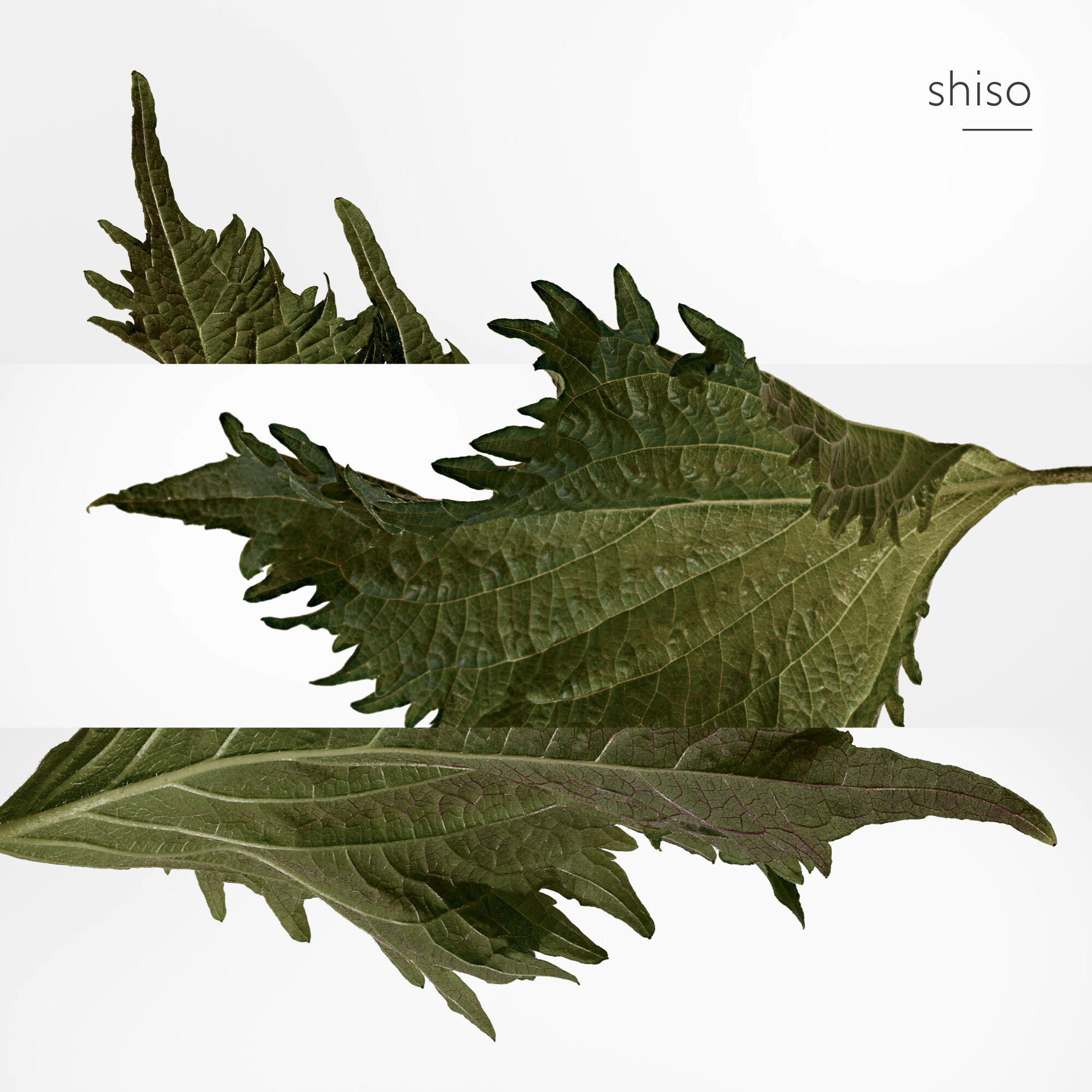 Terre d'Herm&egrave;s Parfume Refill