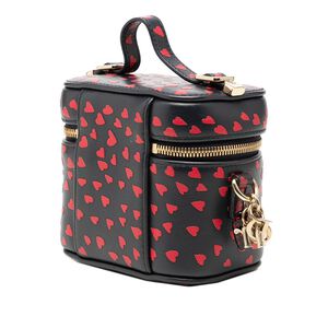 Dior Vanity Bag