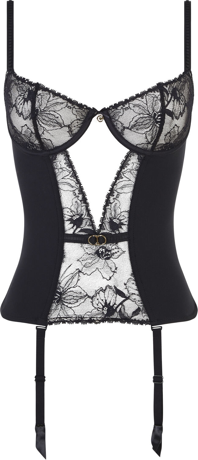 Orchids Basque