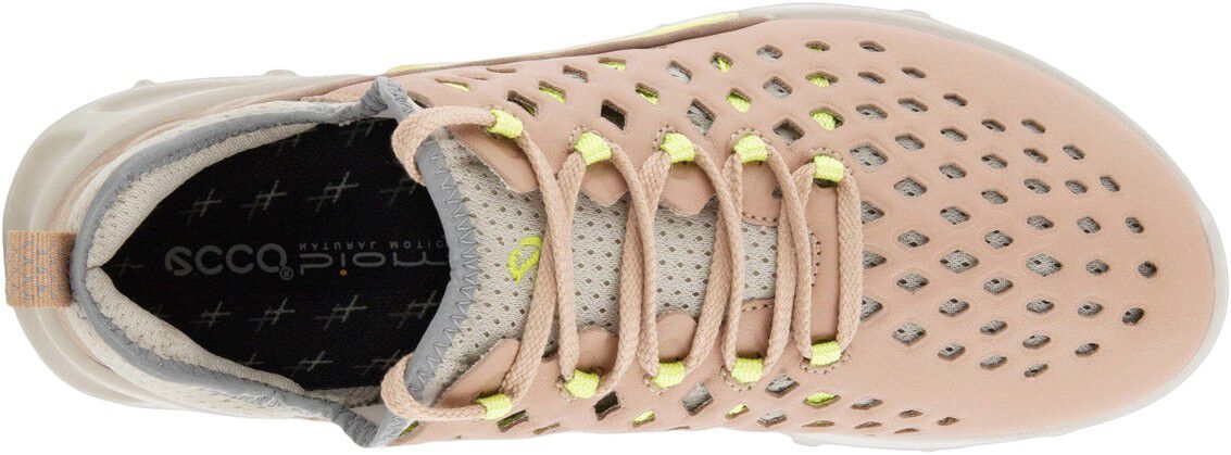 Biom 2.1 X Country vandresko