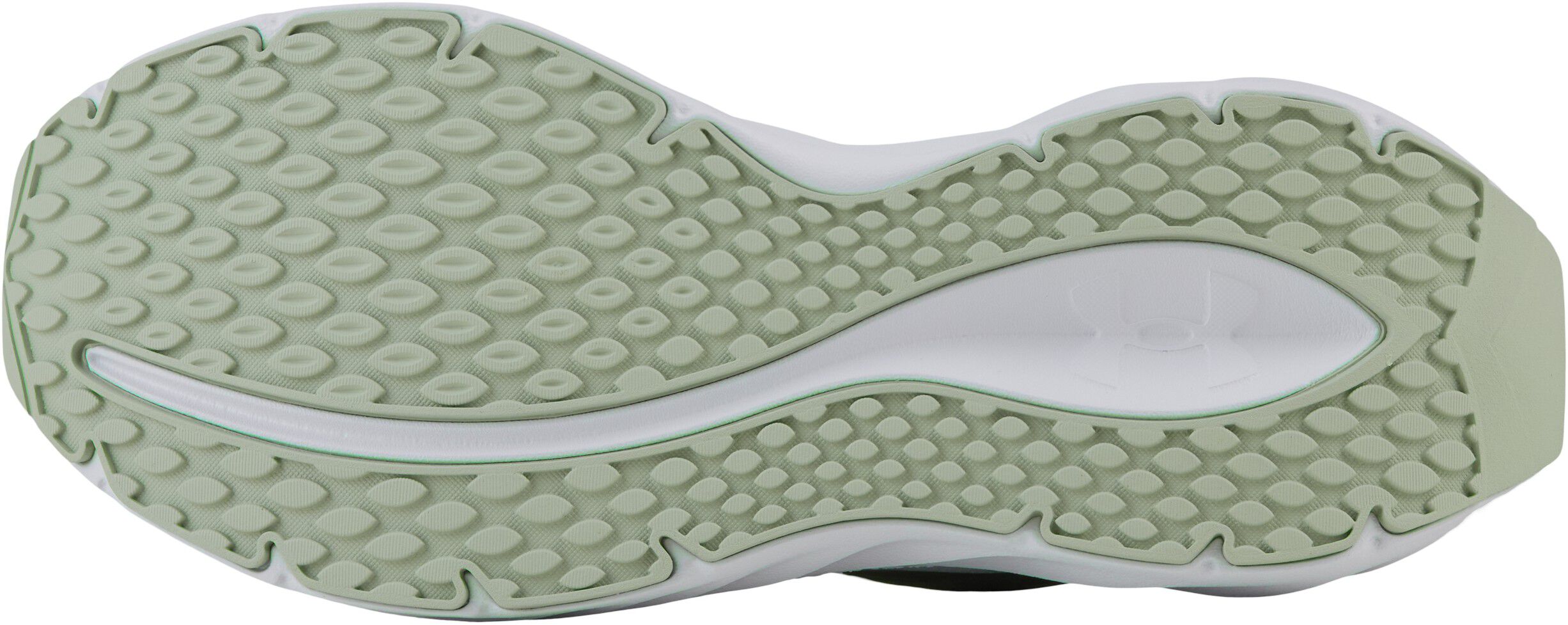 Ascend Tr&aelig;ningsssko