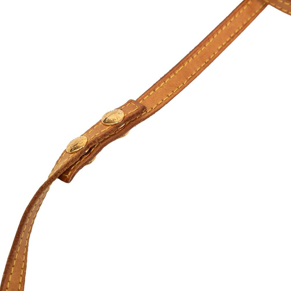 Louis Vuitton Twin Pochette