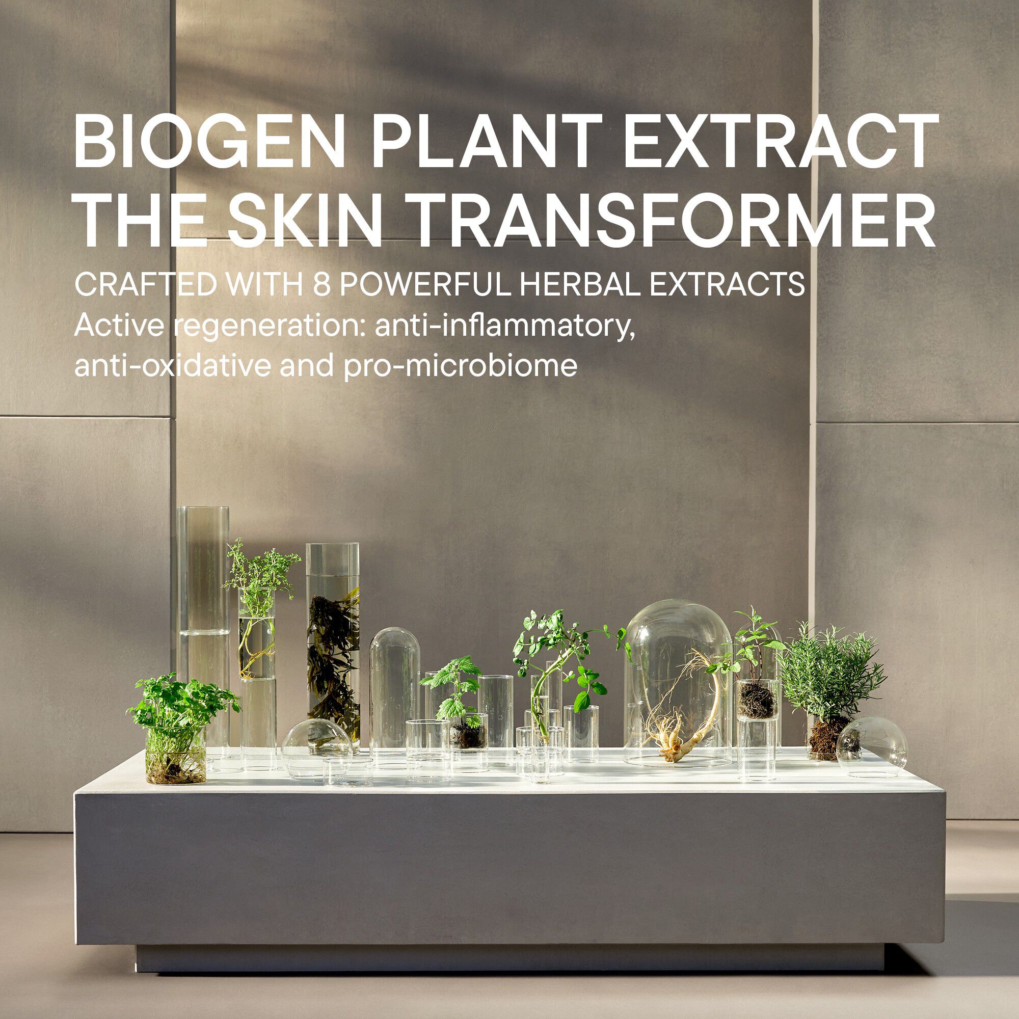 10D HYALURONIC ACID AMPOULE SERUM CONCENTRATE