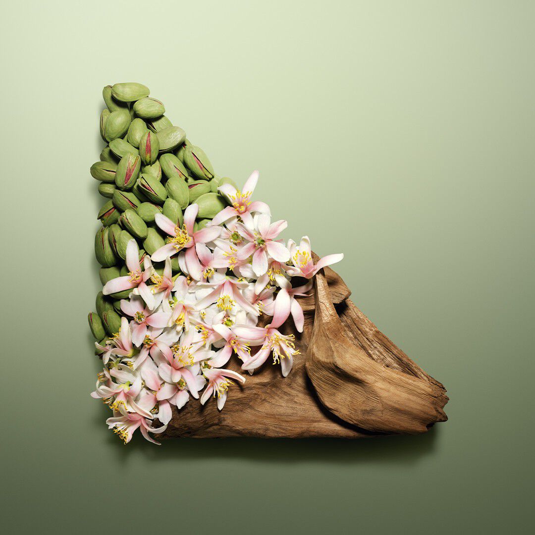 Paradoxe Radical Essence Eau de Parfum