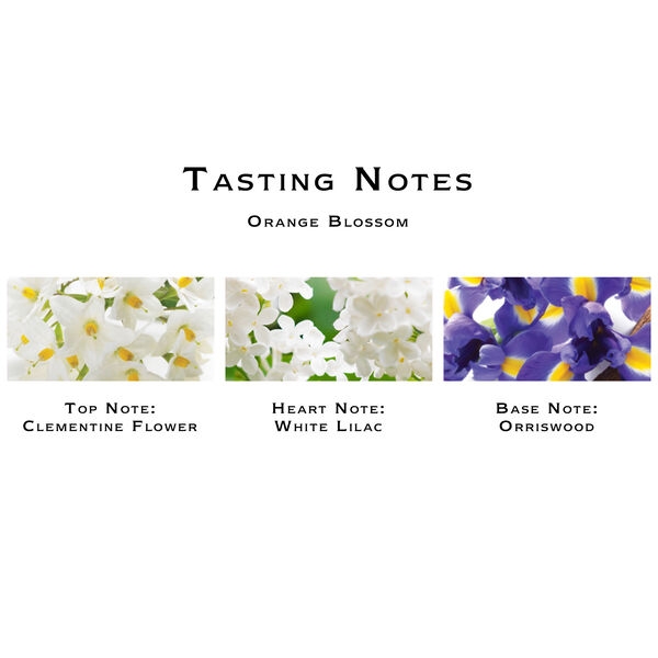 Orange Blossom Cologne