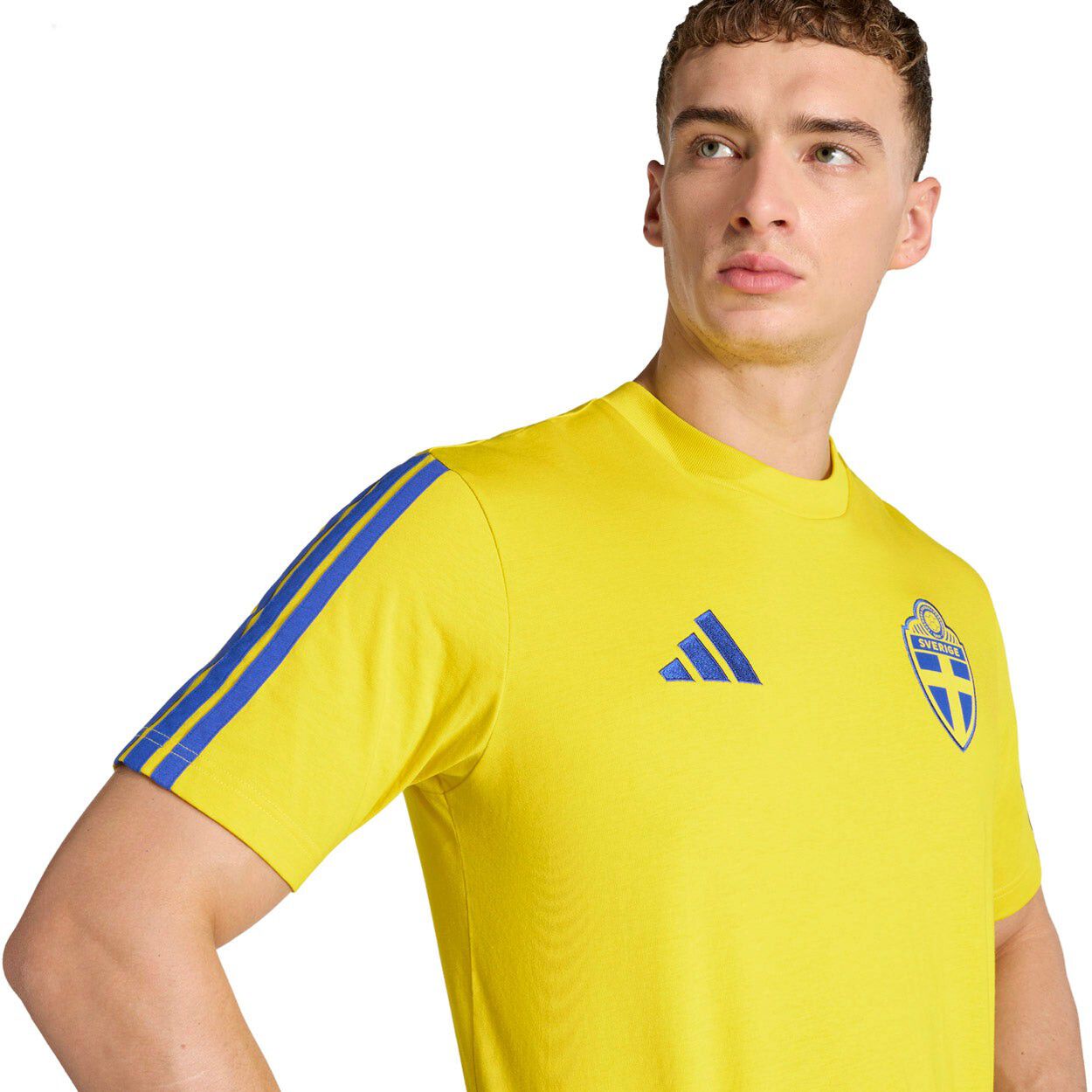 Sverige DNA T-shirt