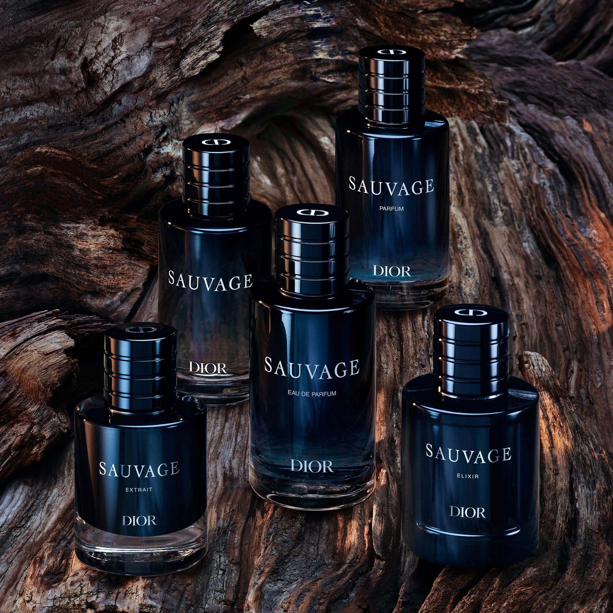 Sauvage Extrait