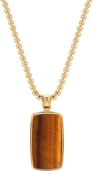 Tiger Eye Dog Tag Necklace in Gold