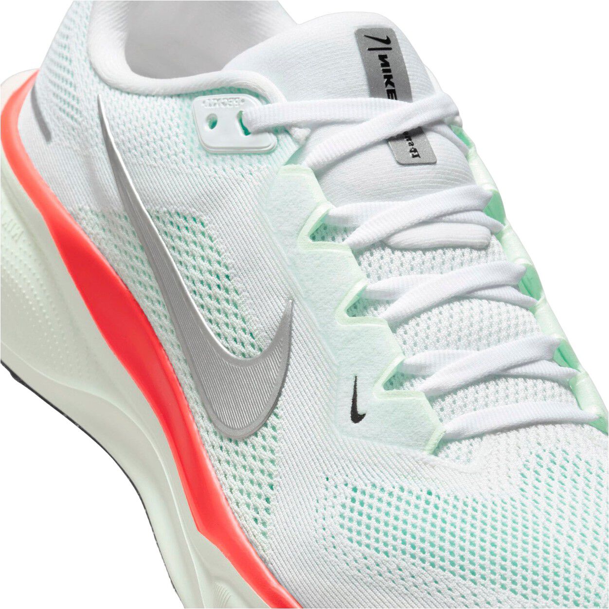 Pegasus 41 L&oslash;besko