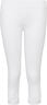 DECOY seamless capri leggings