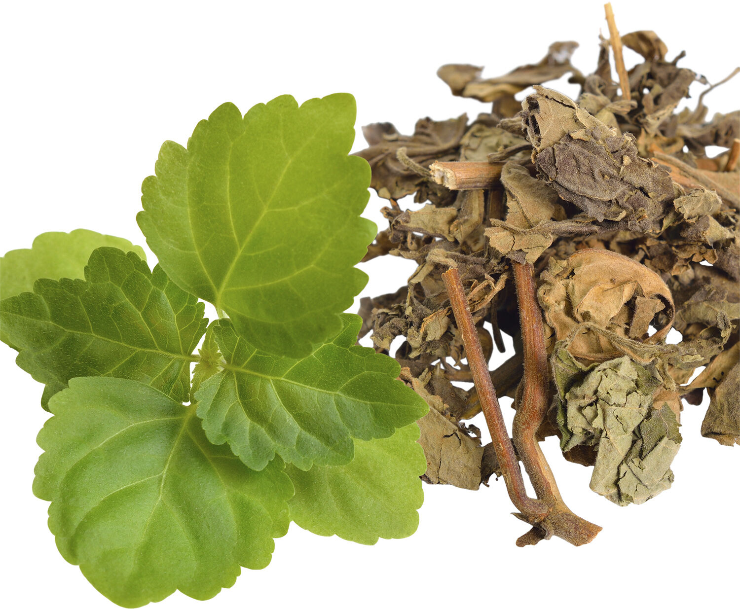 Eros Homme Energy Edp spray 50. 0 ML