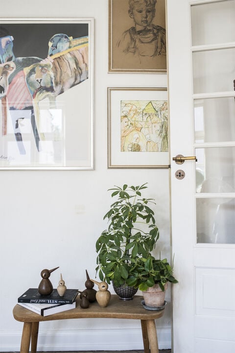 Bird stor egetræ røget