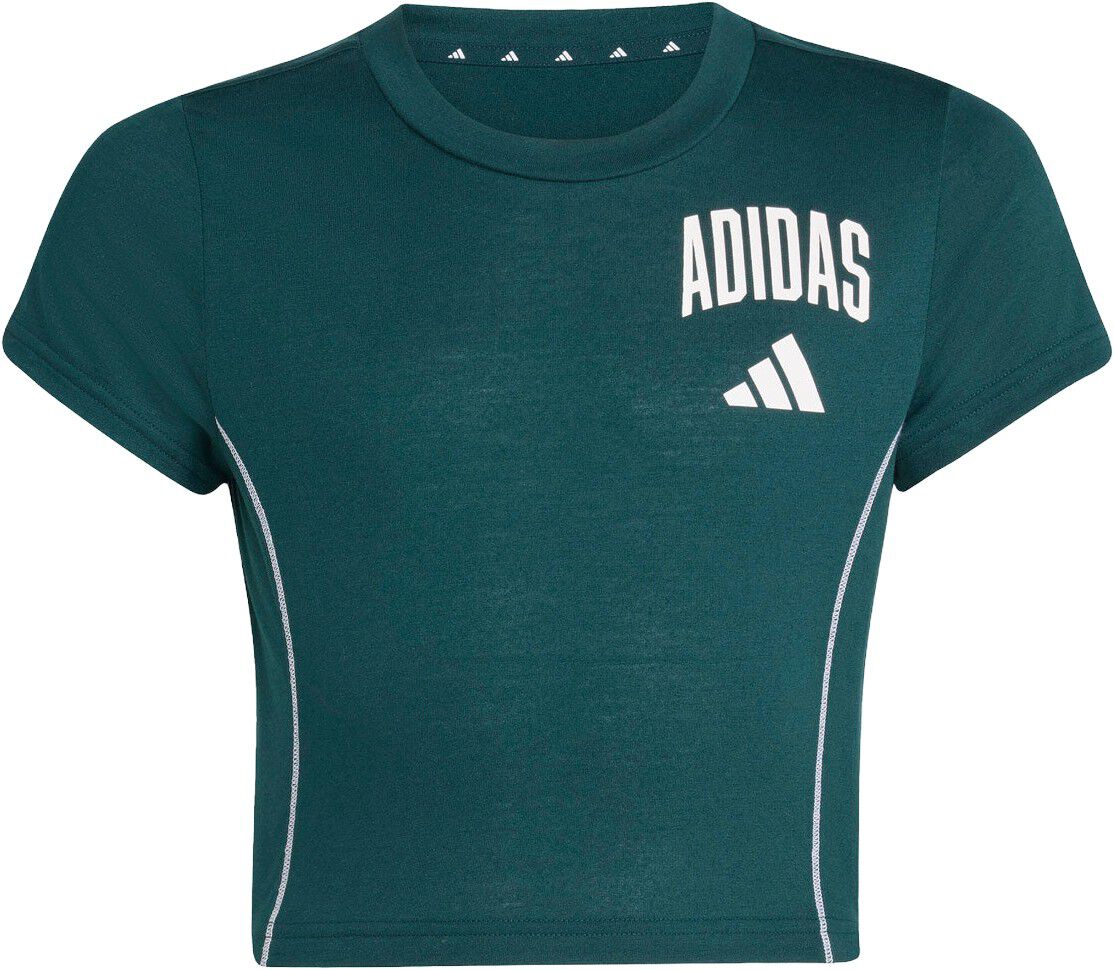 Essentials Collegiate Print T-Shirt