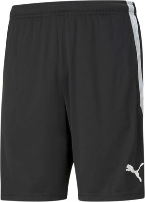 Teamliga Training shorts
