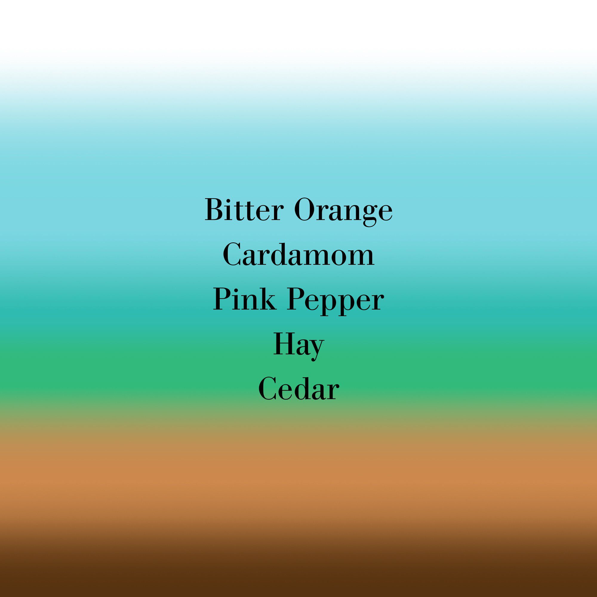 BIGARADE CONCENTREE ASMB 100ML/3. 4F