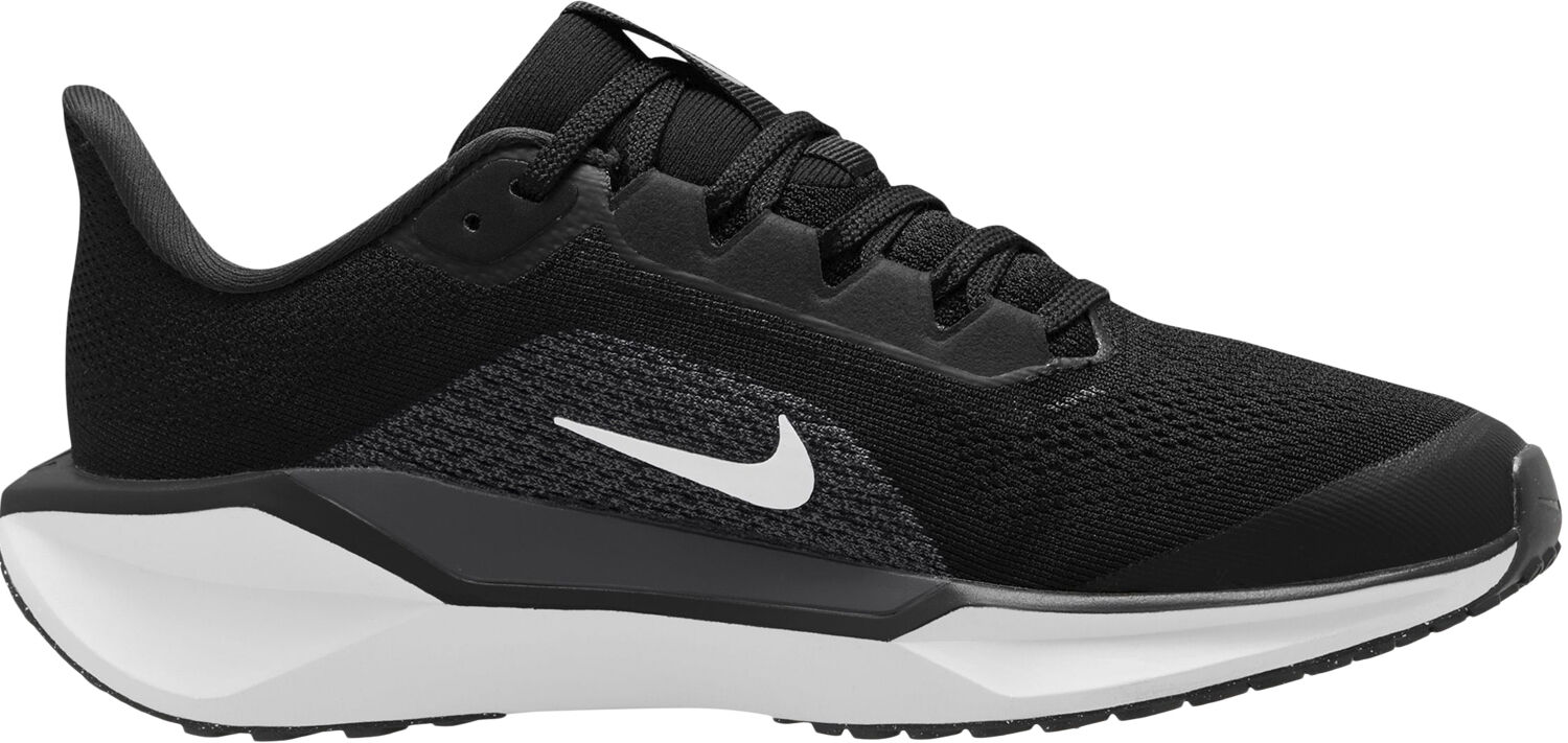 Air Zoom Pegasus 41 L&oslash;besko