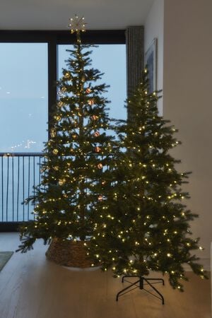 Eric Juletr&aelig; 2,1 m - 560 LED