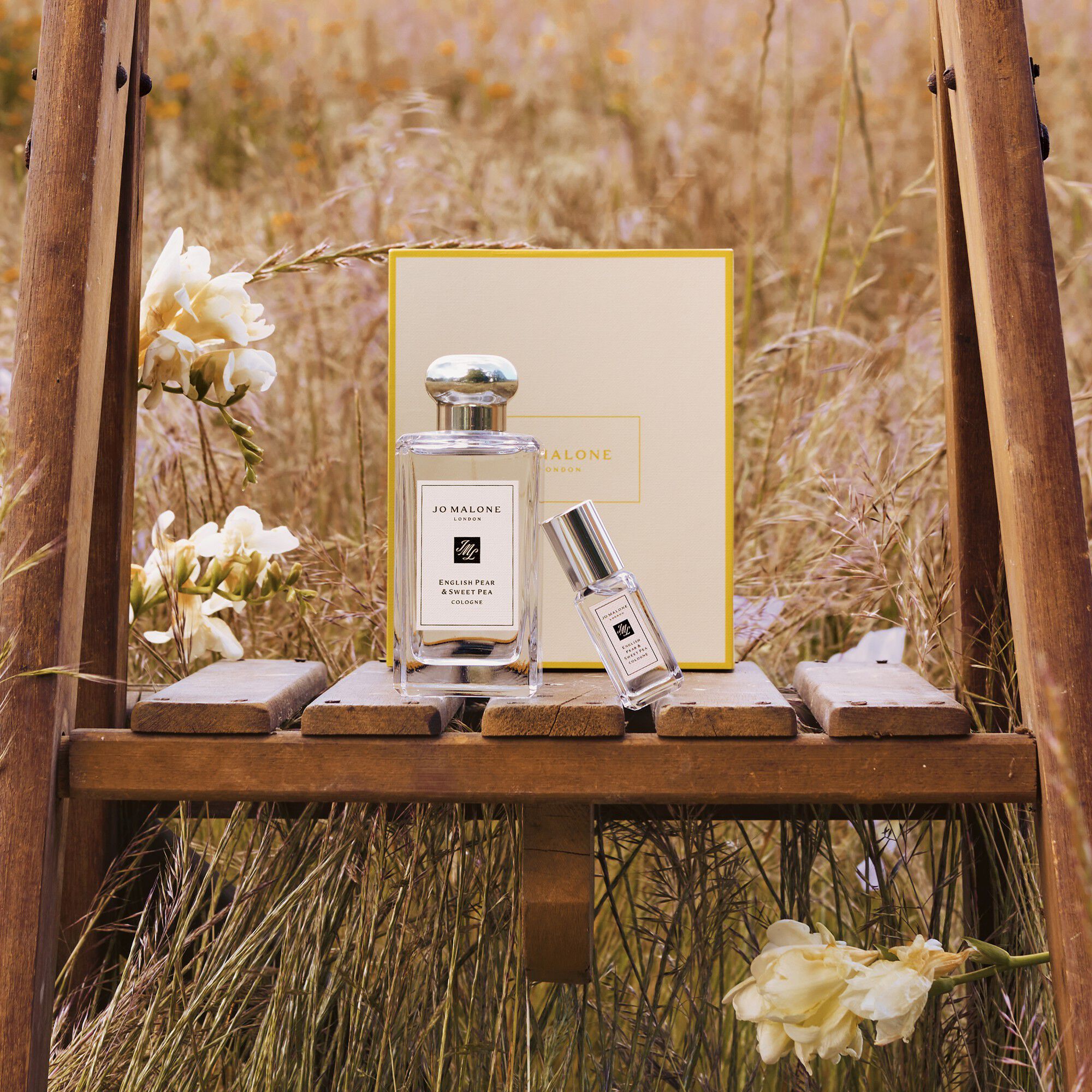 ENGLISH PEAR COLLECTION