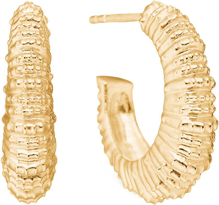 Seashell Secrets &Oslash;restikker - Forgyldt