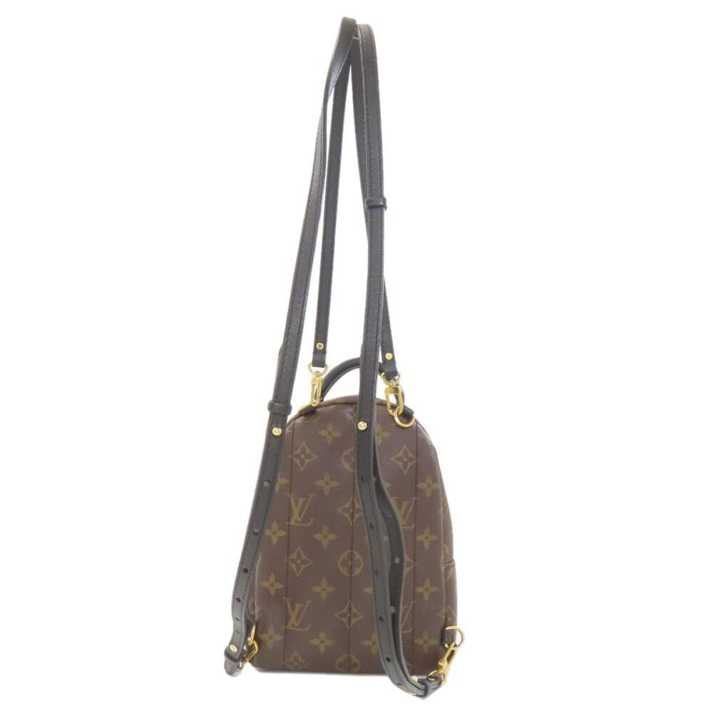 Louis Vuitton Palm Springs