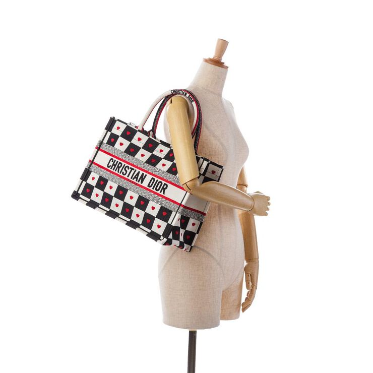 Dior Book Tote