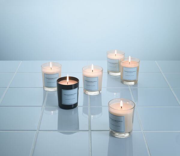 Scented Candle Figuier