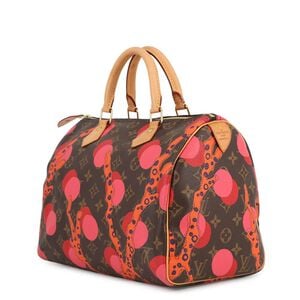 Louis Vuitton Speedy