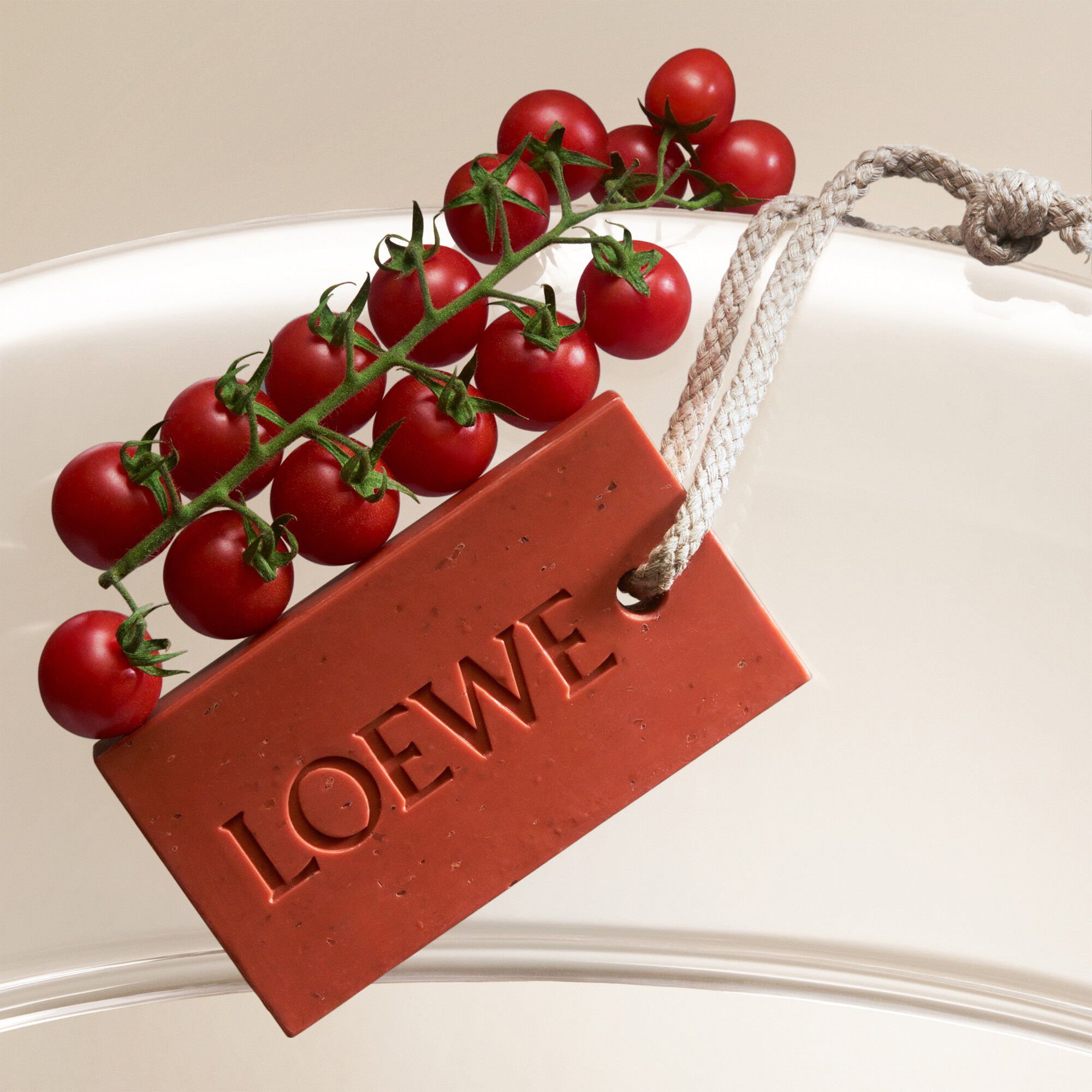 LOEWE Tomato Leaves Large Soap Bar