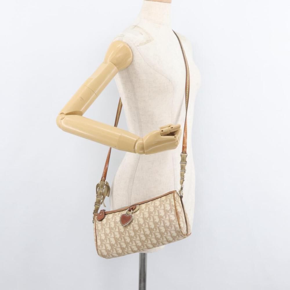 Dior Shoulder Bag