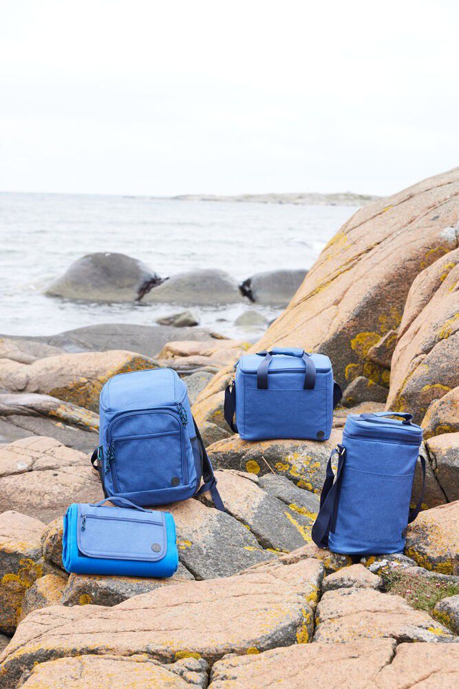 City cooler backpack