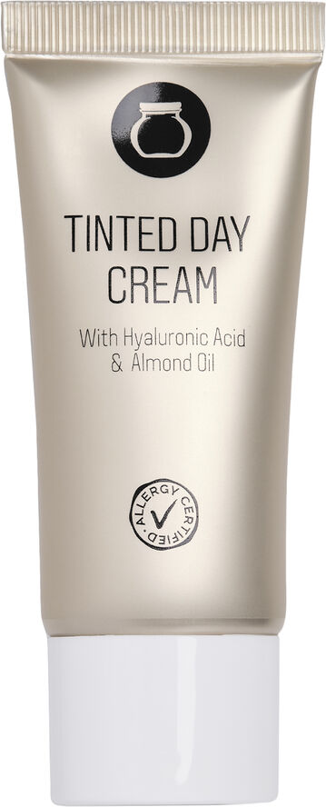 Tinted Day Cream