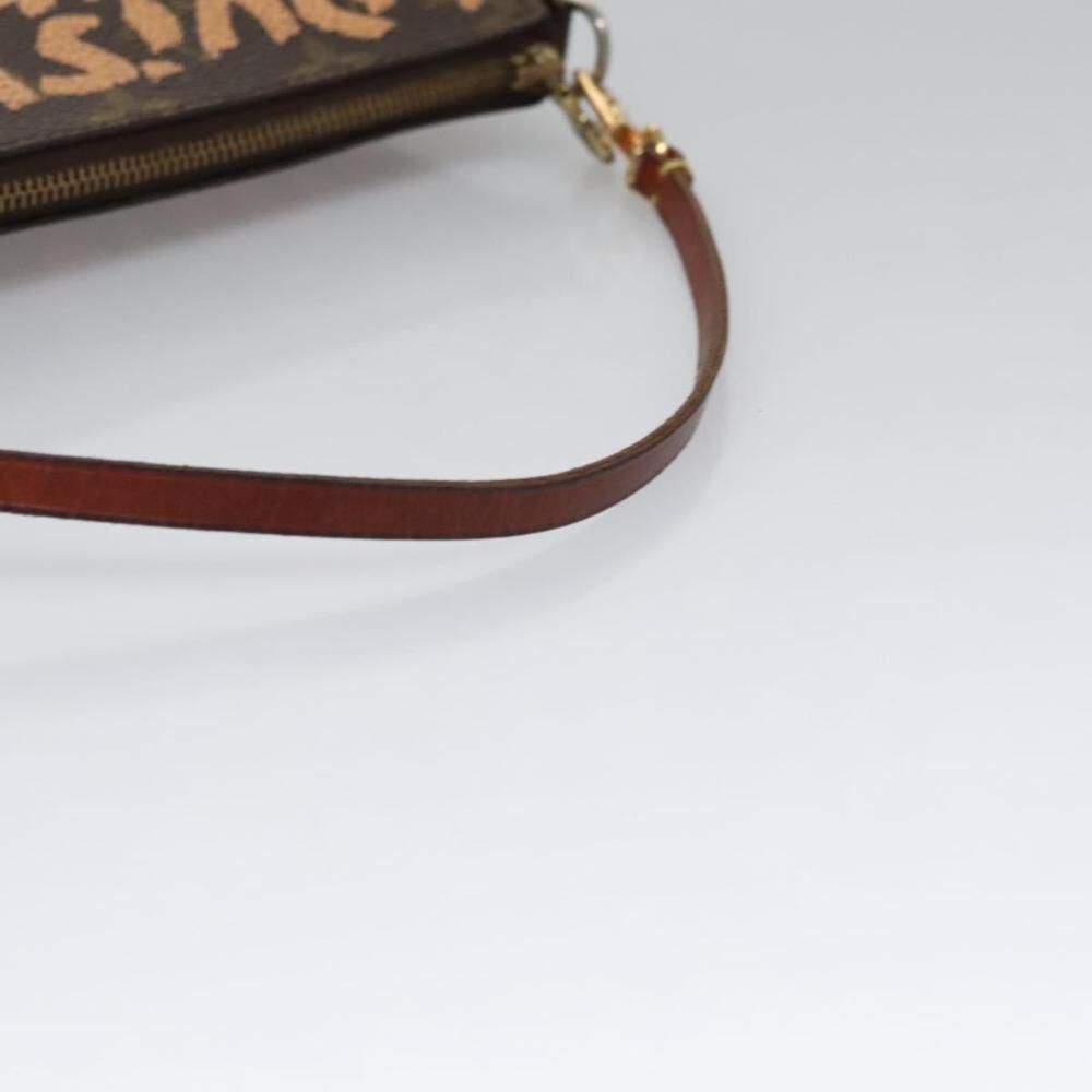 Louis Vuitton Pochette Accessoires