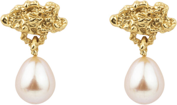 HOLLOW CLOUD ØRERINGE