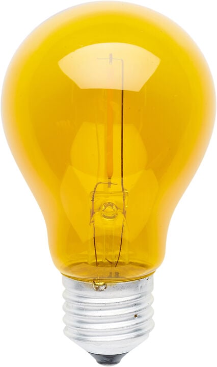 Tobias, Reservepære, Gul