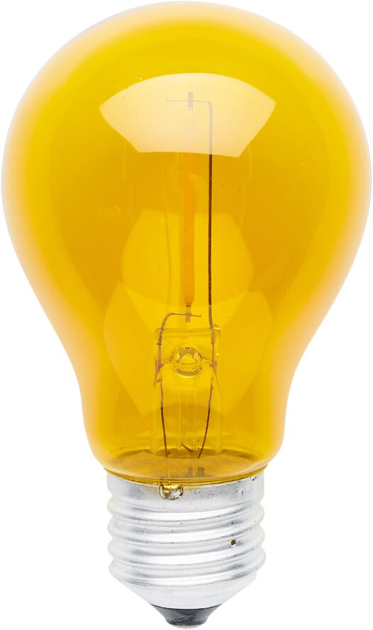 Tobias, Reservepære, Gul