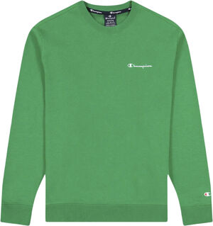 Small Script Terry Cotton sweatshirt